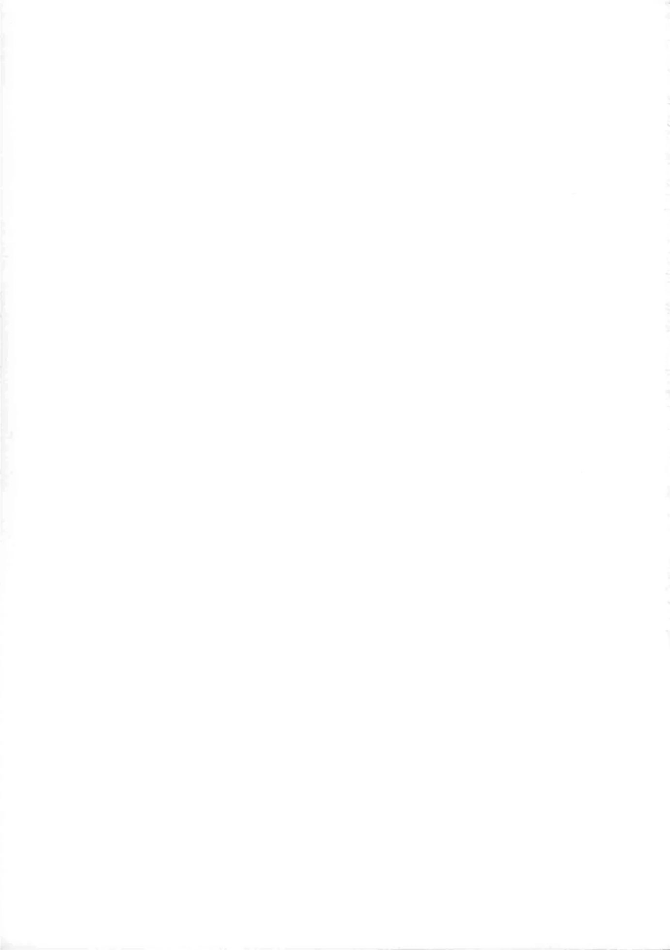 A Iniciação de Elizabeth no Bar do Pecado